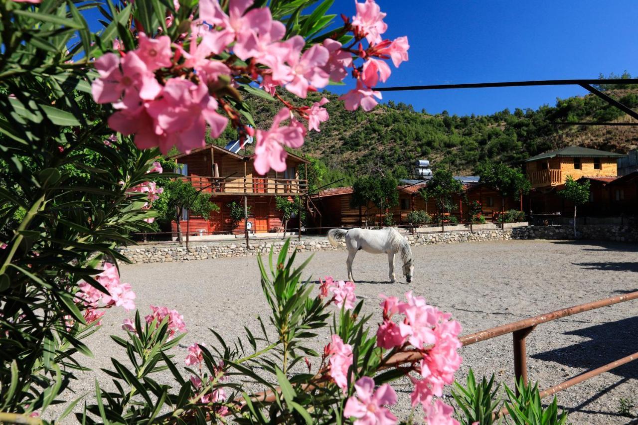 Oranj Ranch Hotel Kemer Esterno foto