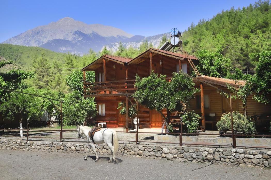 Oranj Ranch Hotel Kemer Esterno foto
