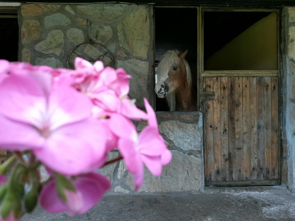 Oranj Ranch Hotel Kemer Esterno foto