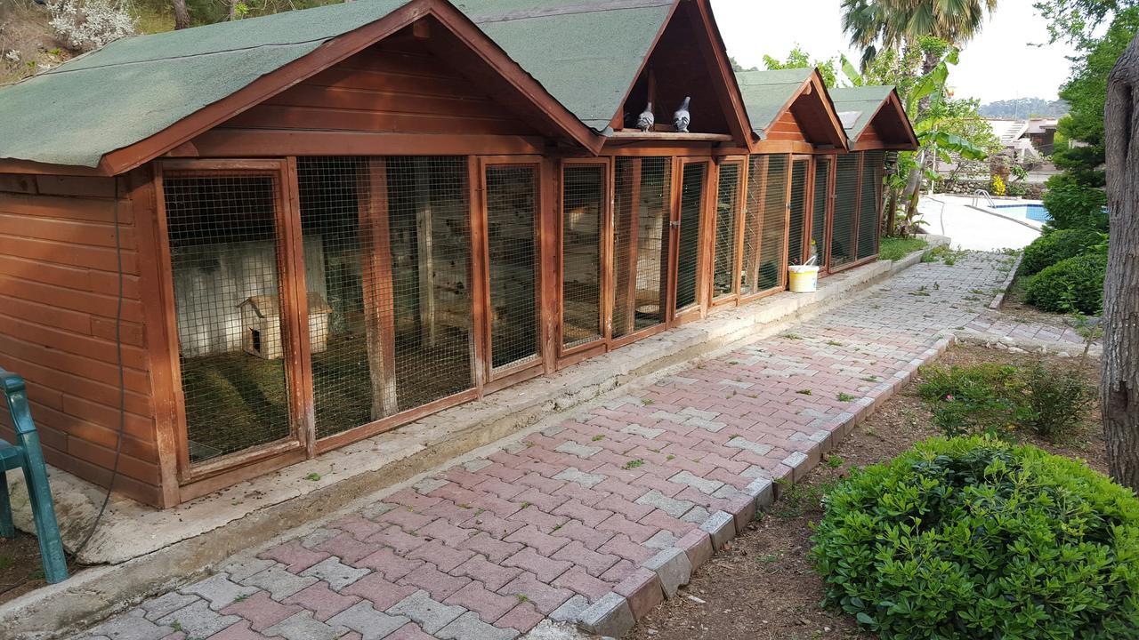 Oranj Ranch Hotel Kemer Esterno foto