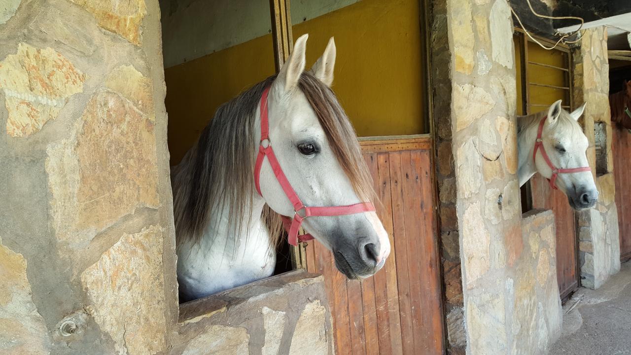 Oranj Ranch Hotel Kemer Esterno foto