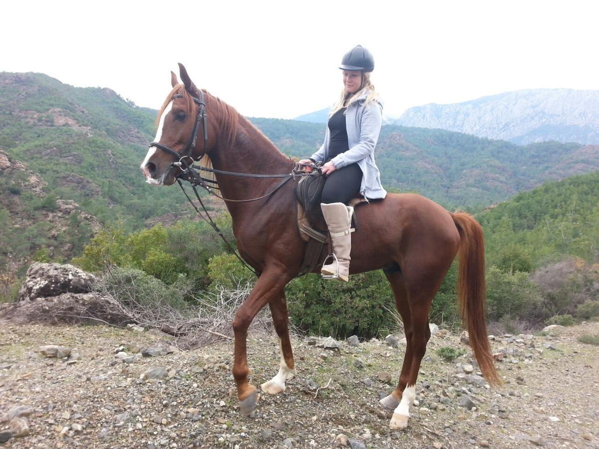 Oranj Ranch Hotel Kemer Esterno foto