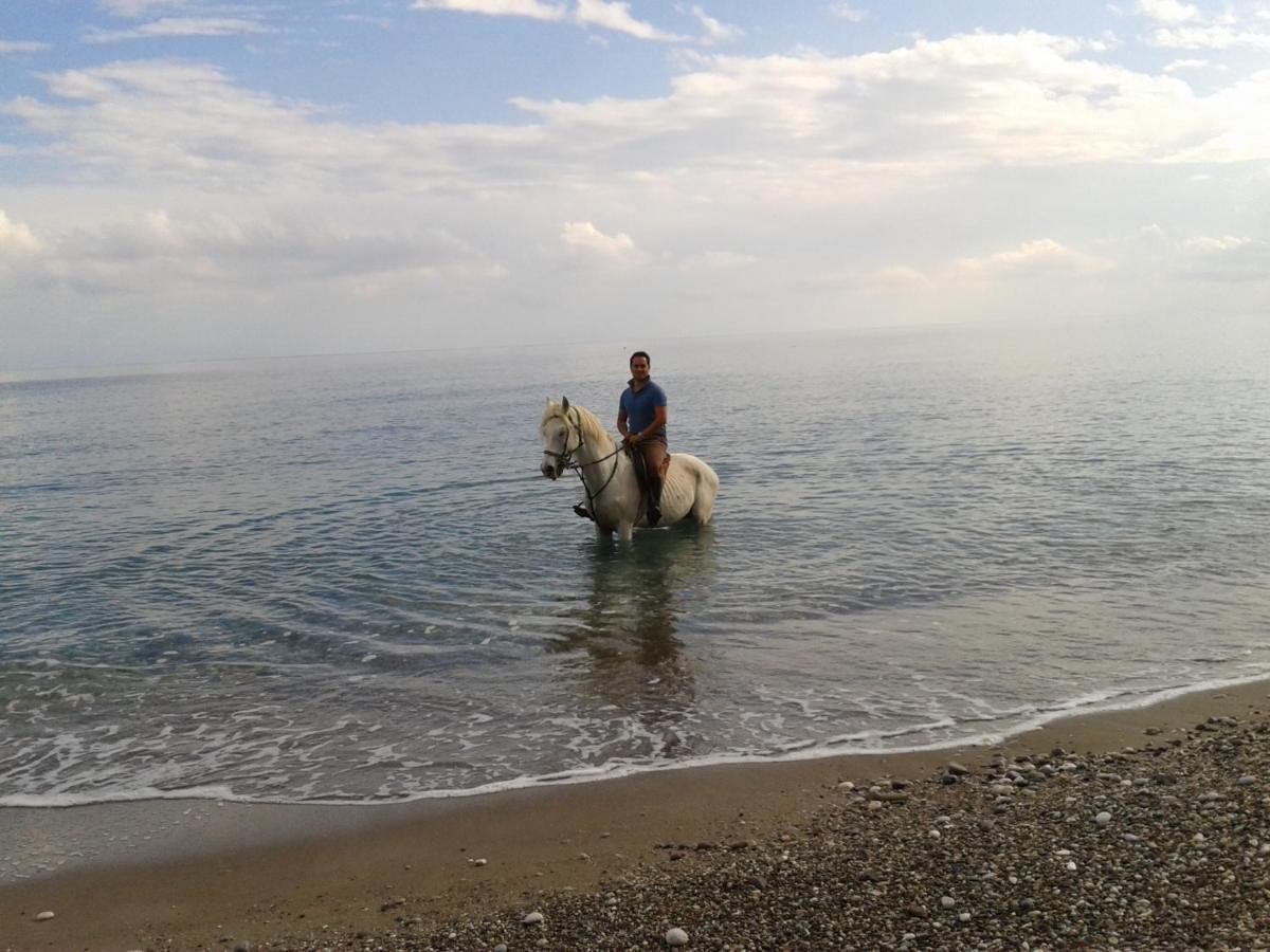 Oranj Ranch Hotel Kemer Esterno foto
