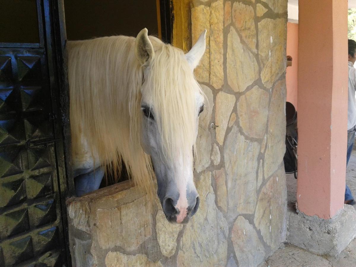 Oranj Ranch Hotel Kemer Esterno foto